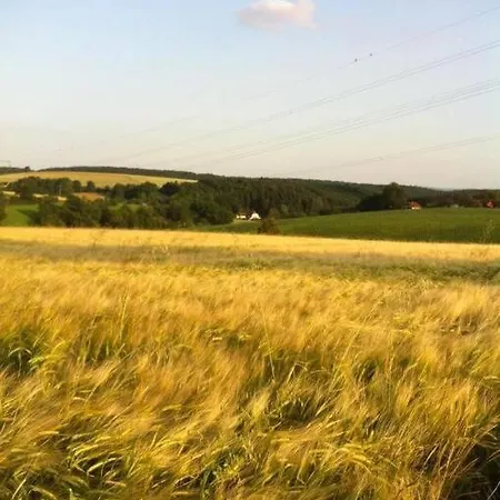 Appartement Schlossmuehle Ehrstaedt Im Herzen Der Sinsheim